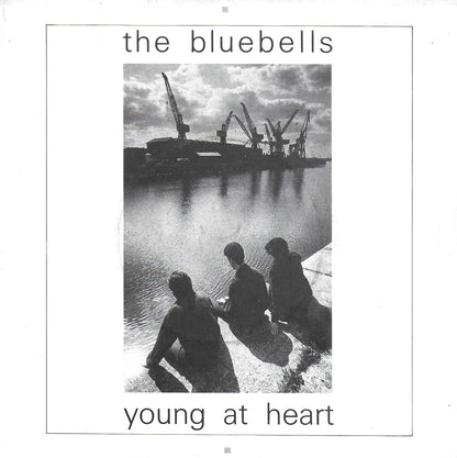 The Bluebells - Young at heart (Engelse uitgave)