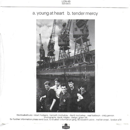 The Bluebells - Young at heart (Engelse uitgave)