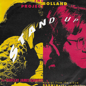 The Bolland Project feat. Barclay James Harvest - Stand up