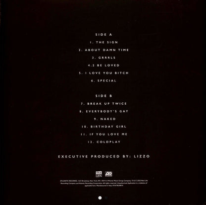 Lizzo - Special (LP)