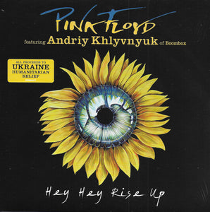 Pink Floyd feat. Andriy Khlyvnyuk of Boombox - Hey hey rise up