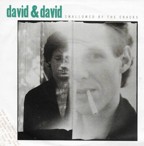 David & David - Swallowed by the cracks
