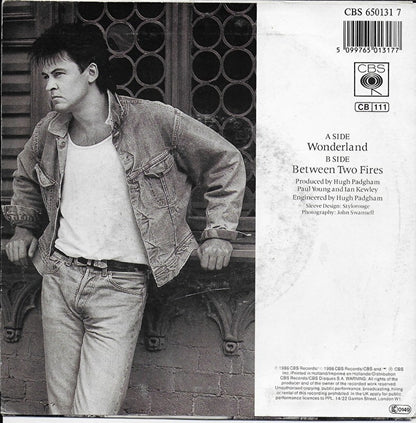 Paul Young - Wonderland
