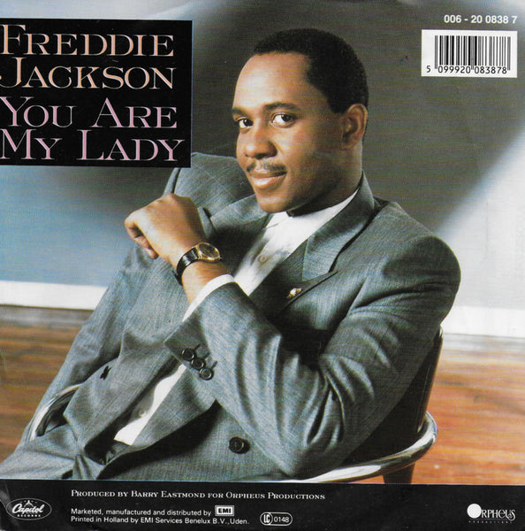 Freddie Jackson - You are my lady