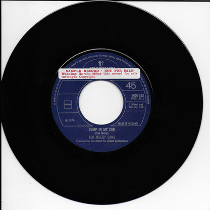 Ted Mulry Gang - Jump in my car