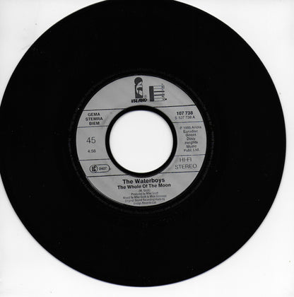 Waterboys - The whole of the moon (Europese uitgave)