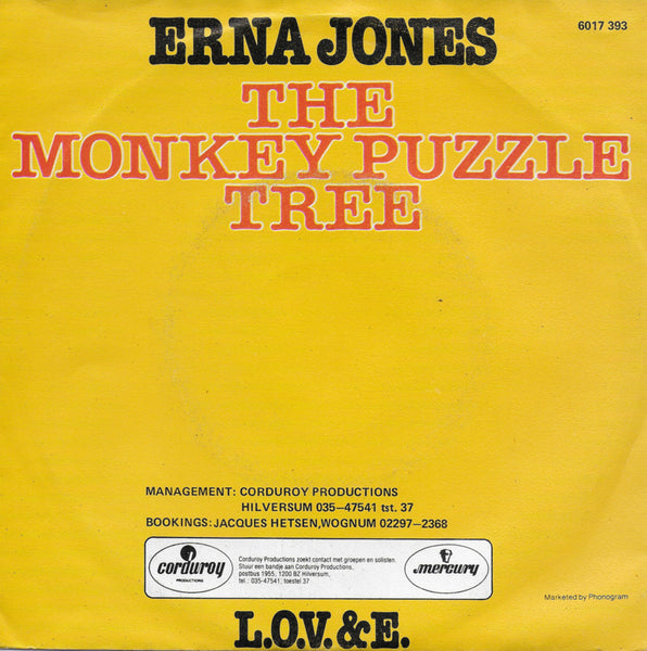 Erna Jones - The monkey puzzle tree