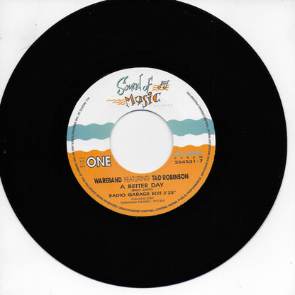 Wareband feat. Tad Robinson - A better day