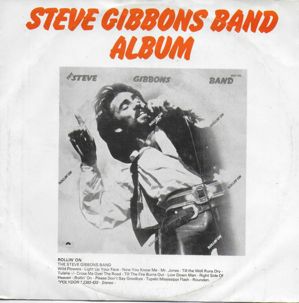 Steve Gibbons Band - Tulane