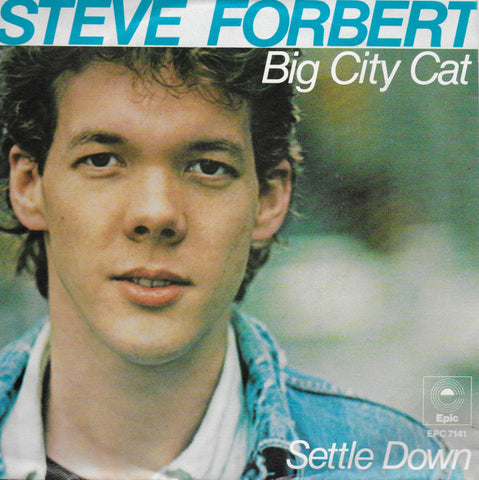 Steve Forbert - Big city cat