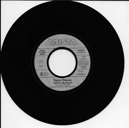 Taylor Dayne - Tell it to my heart