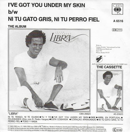 Julio Iglesias - I've got you under my skin