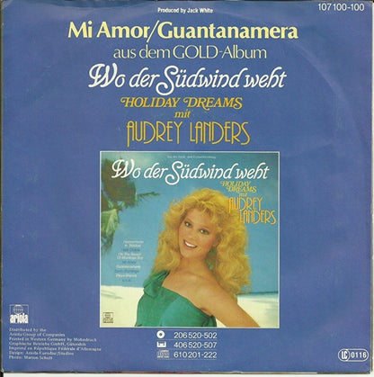 Audrey Landers & Camilo Sesto - Mi amor