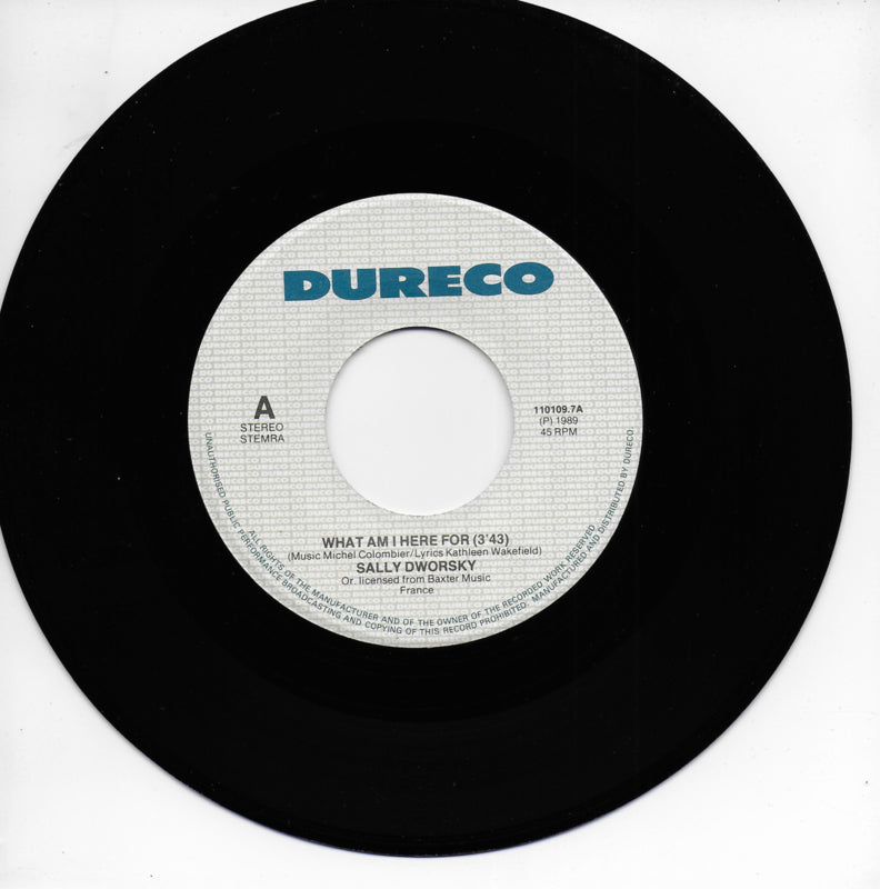 Sally Dworsky - What am I here for