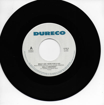 Sally Dworsky - What am I here for