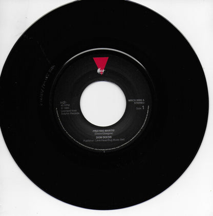 Don Dixion - Praying mantis