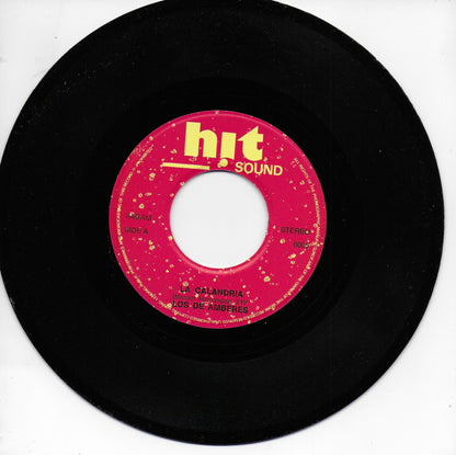 Los de Amberes - La calandria