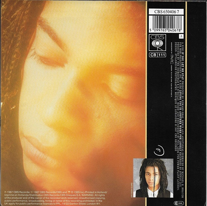 Terence Trent D'arby - If you let me stay