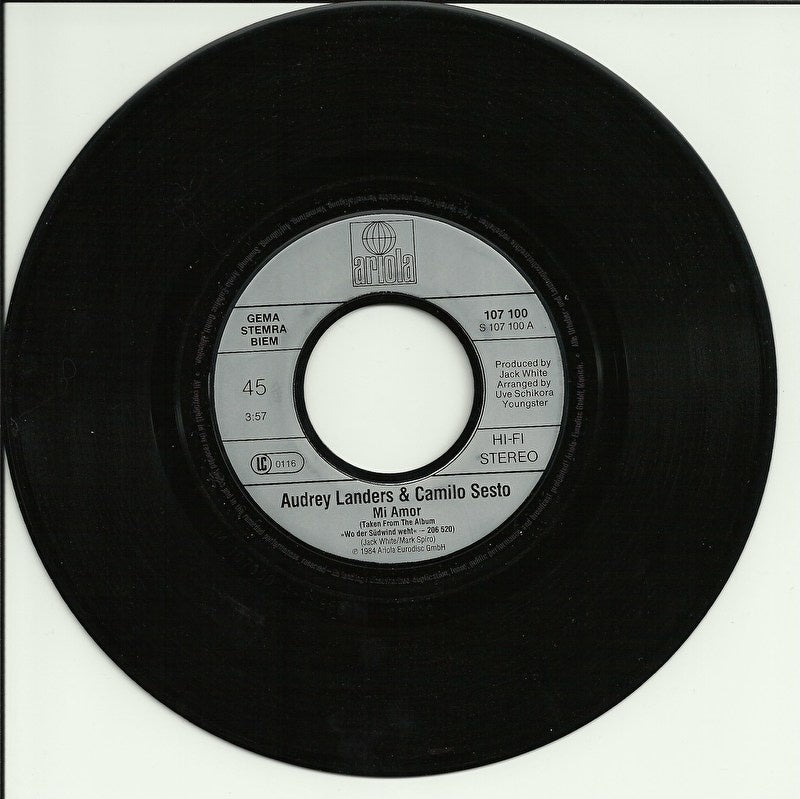 Audrey Landers & Camilo Sesto - Mi amor