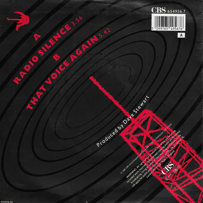 Boris Grebenshikov - Radio silence